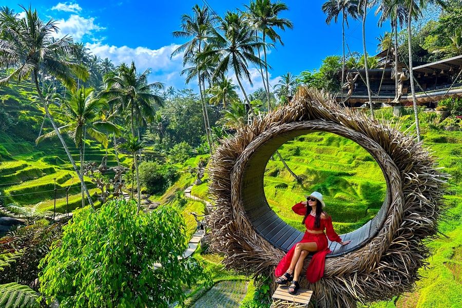 Kintamani & Ubud Tour (Full Day 10 Hours)